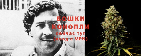 МДПВ Пестово